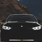 BizZar
