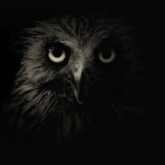 Darkness.