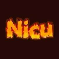 Nicu Harpaila