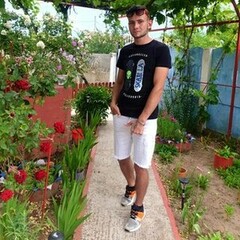 Flavius Flv